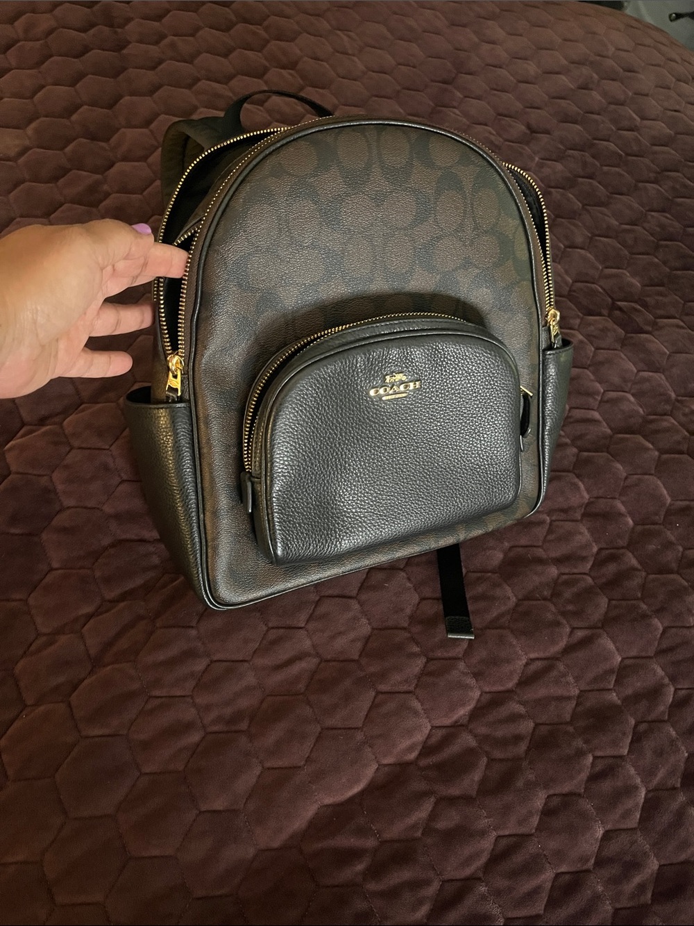 Coach Brown/Black Signature Mini Backpack with Gold Hardware